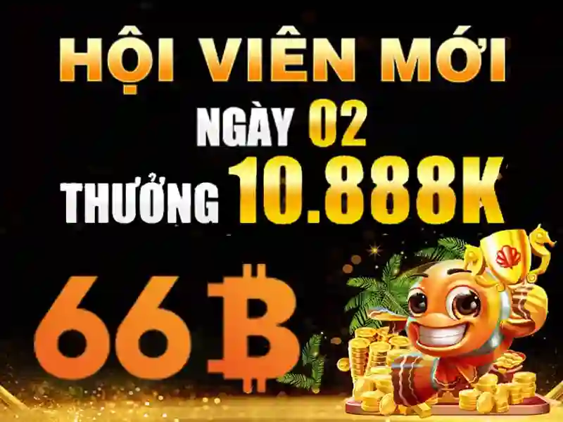 66b công trường quốc tế – Tóm tắt chủ đề và giá trị cốt lõi