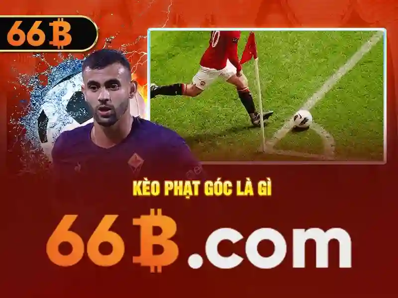 Giới thiệu về 66b