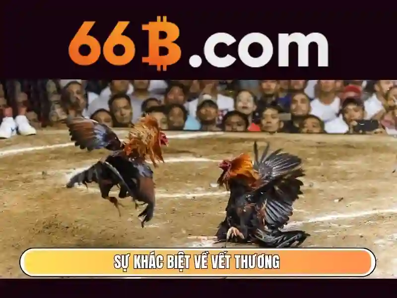 66B là gì và tại sao nó được quan tâm?