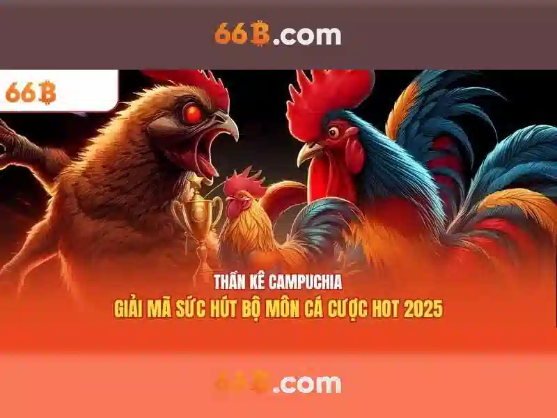 Kết luận