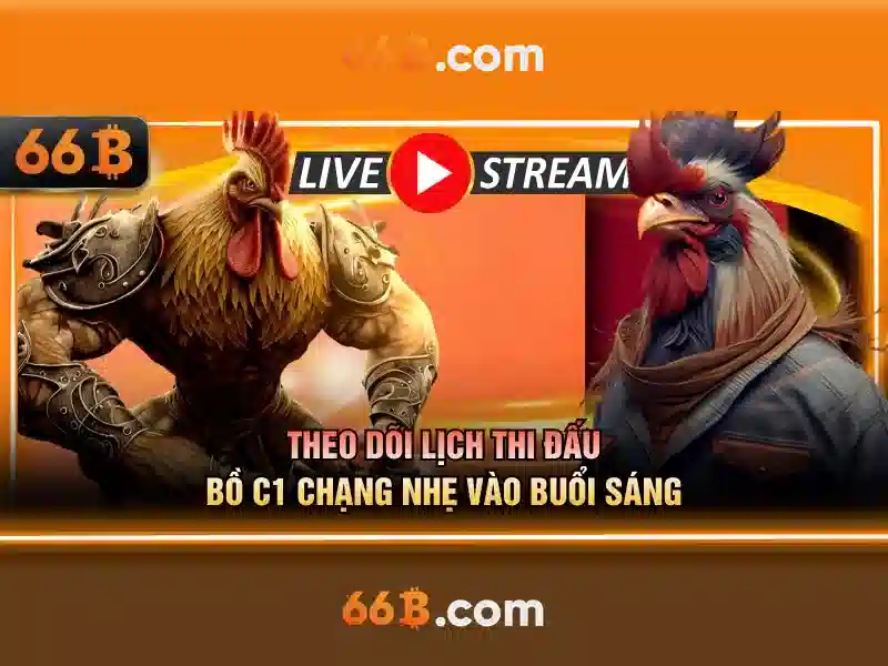 Cách thức hoạt động của 66b