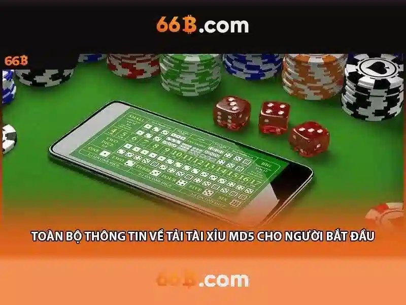 66B là gì?