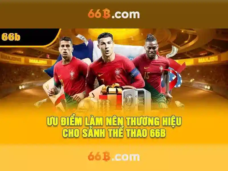 Các tính năng nổi bật của 66b