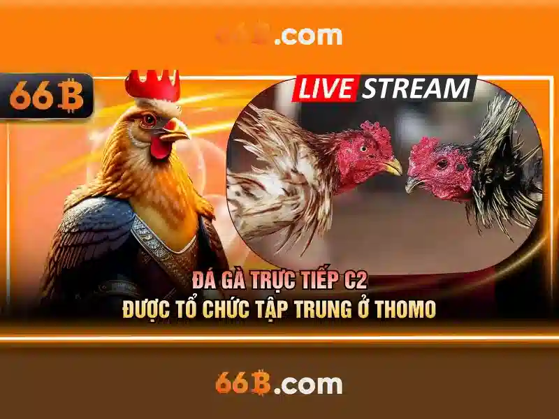 66B là gì