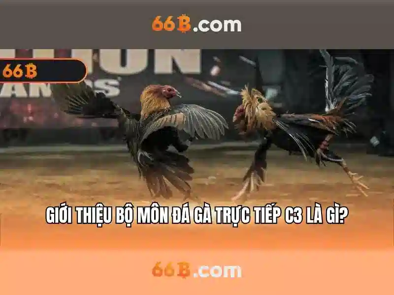 66b. com – Tóm tắt chủ đề và giá trị cốt lõi