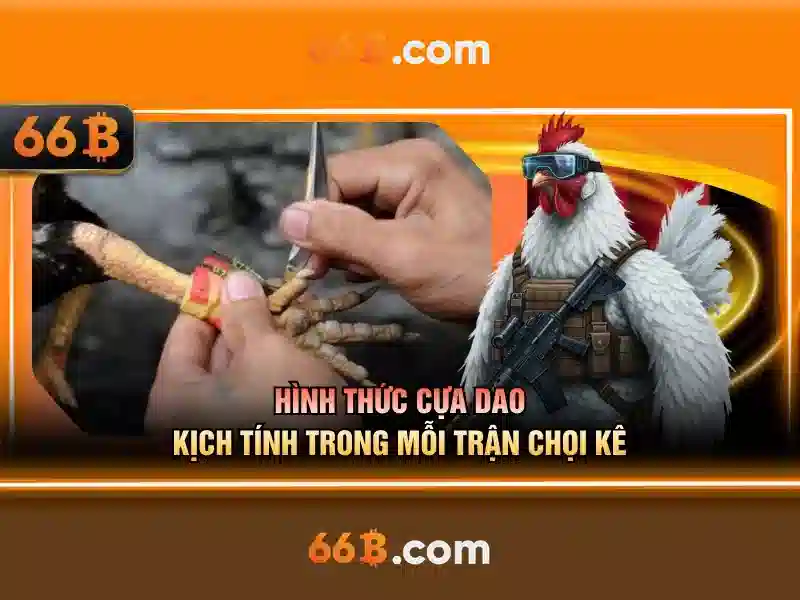 Lịch sử và nguồn gốc của 66b