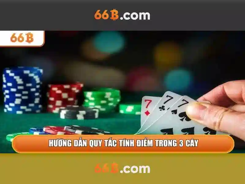 66B là gì?