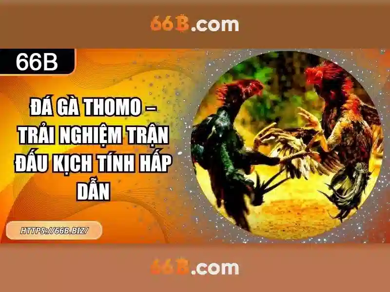 Vấn đề và thách thức\n\n<h2><b>Tương lai của 66b</b></h2>\n<p><span style=