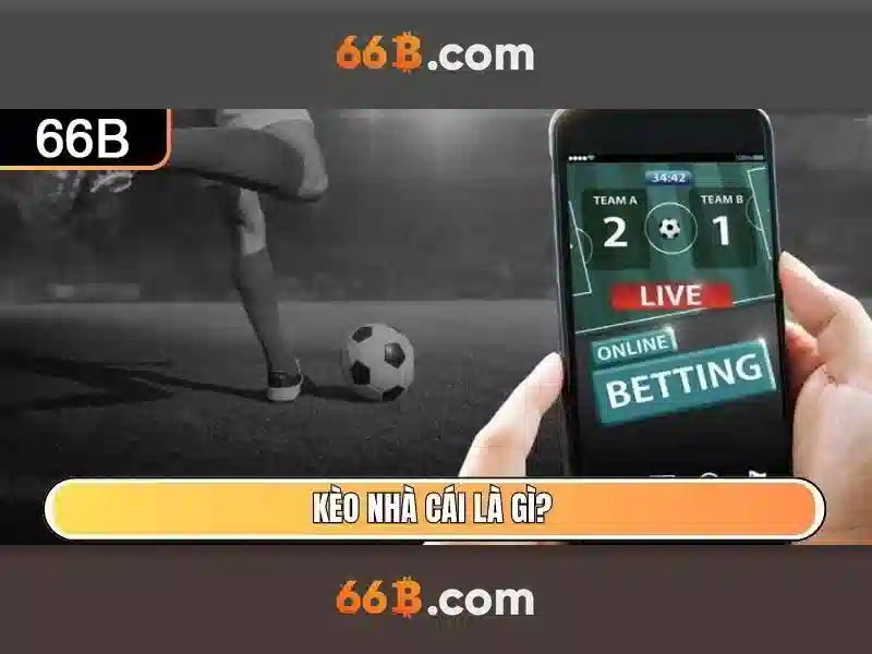 Sản phẩm và dịch vụ cốt lõi: ứng dụng tous les jours 66b cmt8