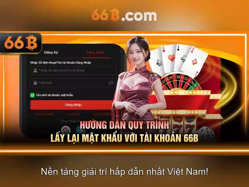 Khái niệm cơ bản của 66b