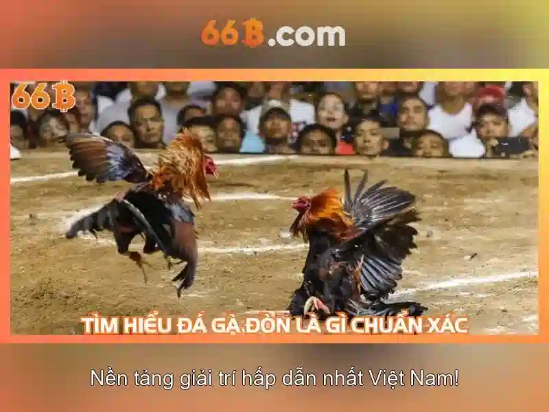 66b games – nguồn gốc và sứ mệnh