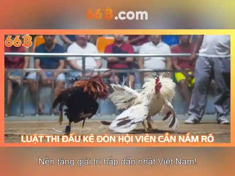 Số lượng tham số của mô hình 66B