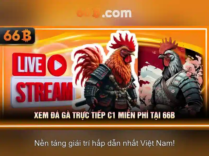 Những triển vọng