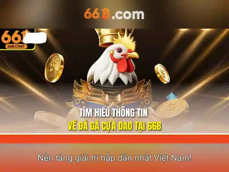 Kiến trúc và đặc điểm nổi bật của 66B