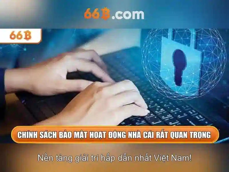66b là gì