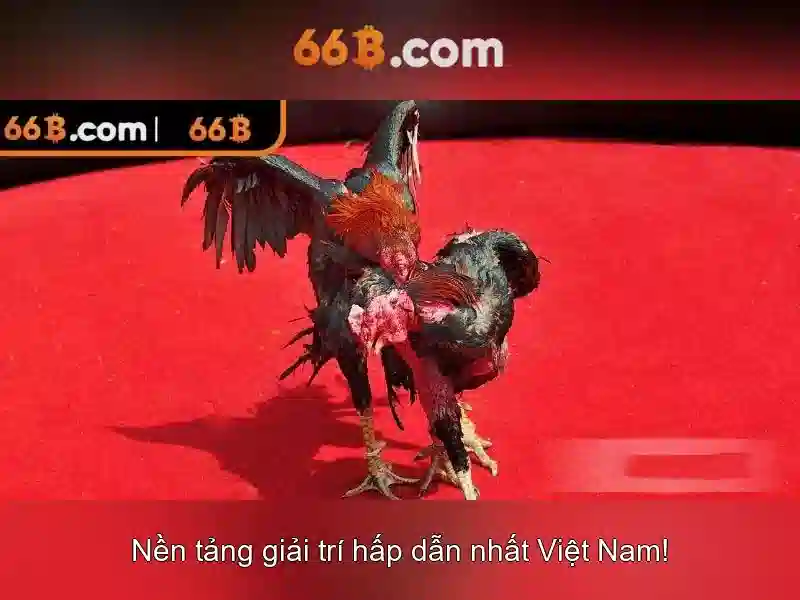 Các ứng dụng tiềm năng