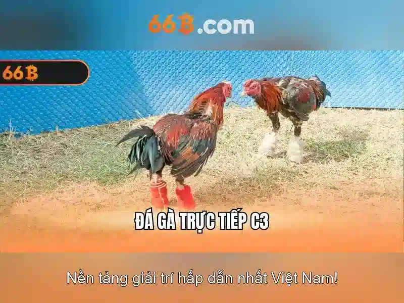 Ứng dụng và thách thức