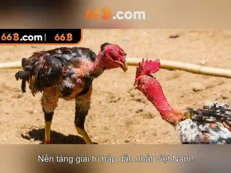 Nguồn gốc từ khóa và sứ mệnh