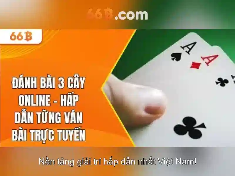 Kiến trúc và cách hoạt động của 66B