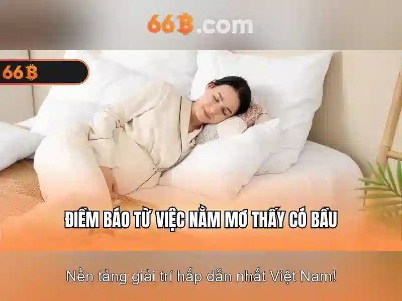 Hiệu suất và huấn luyện