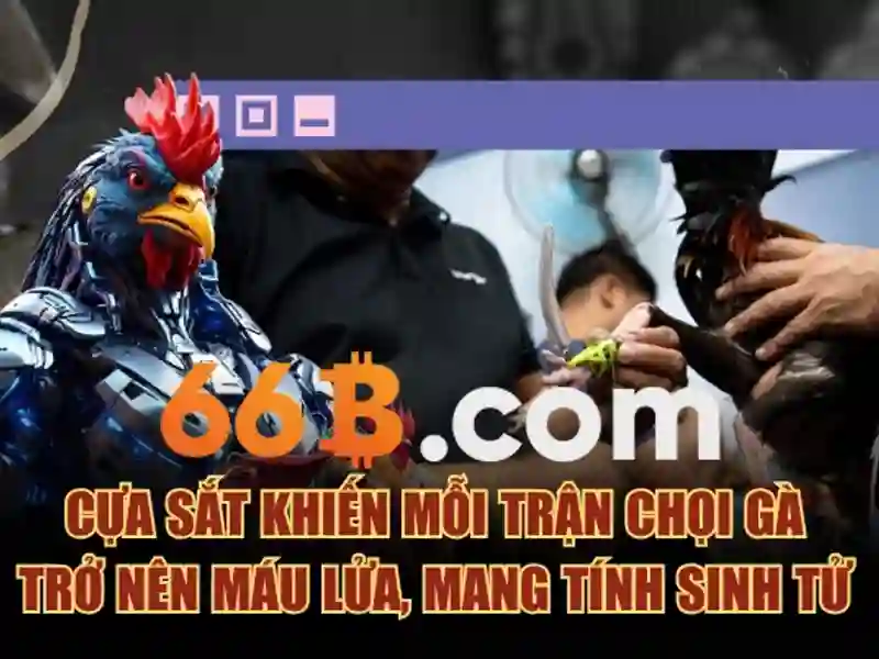 Khắc phục và tối ưu hóa