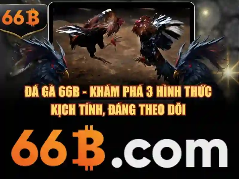 ưu đãi 66b — trải nghiệm và đánh giá mới cho người dùng