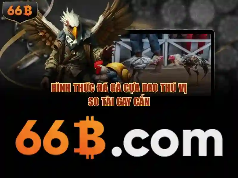 Cách 66B được huấn luyện và kiến trúc tổng quát