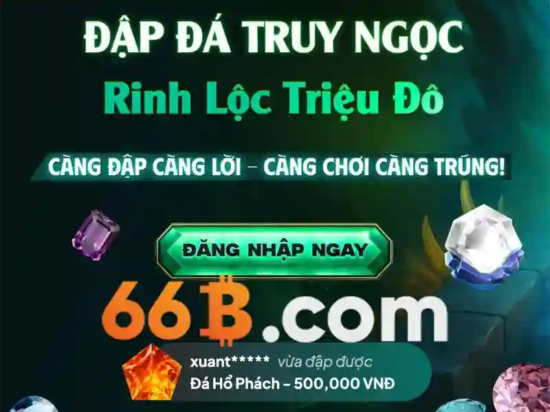 Cấu trúc và kích thước của 66B